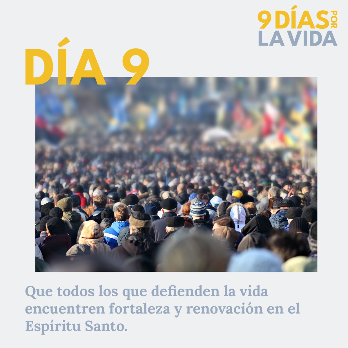 Diocese of Rochester tweet media