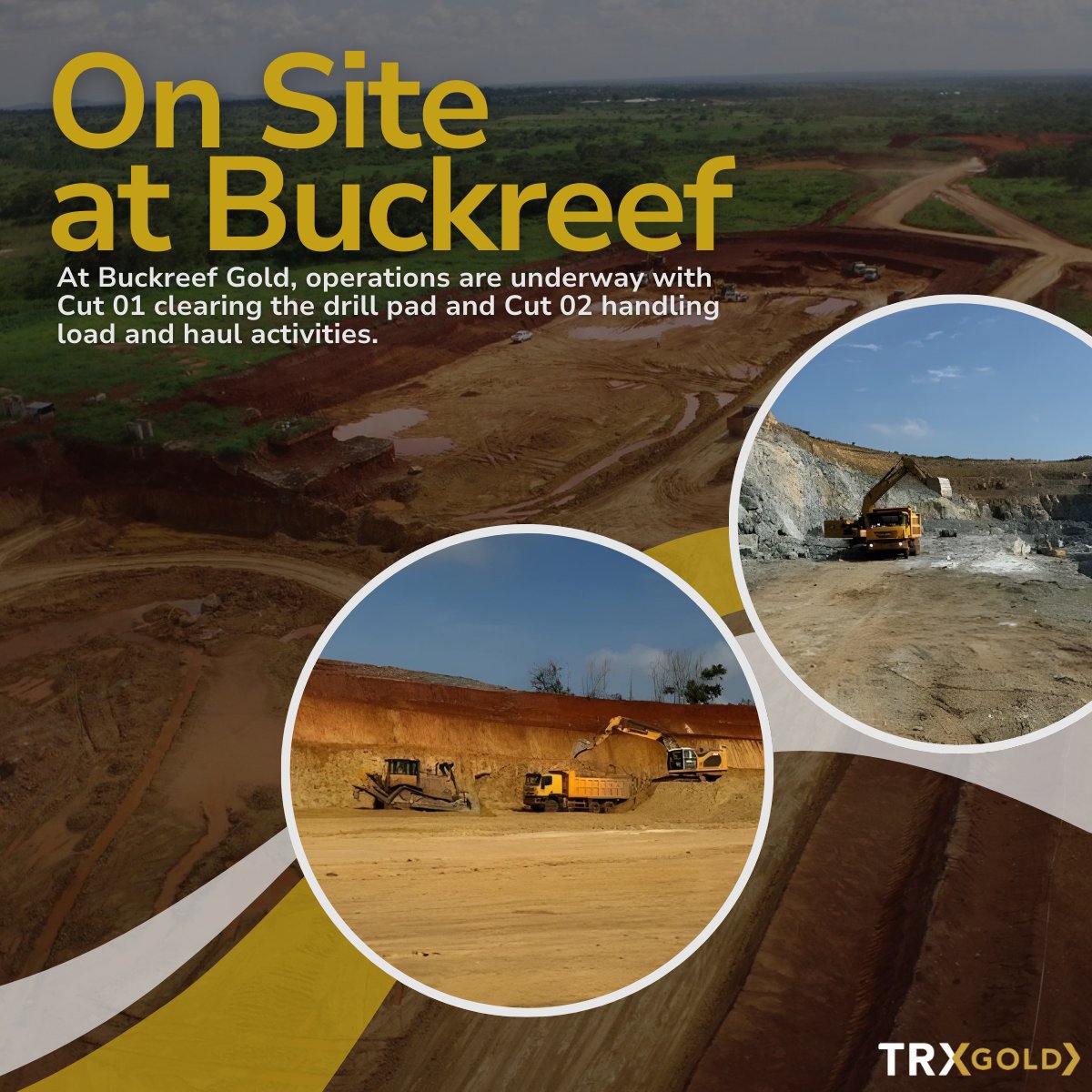 TRX Gold Corporation tweet media