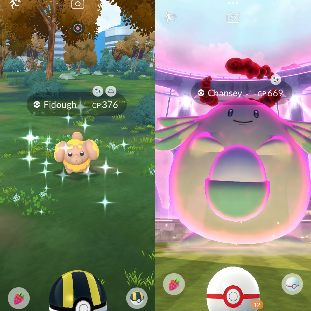 ✨ Shiny Fidough 
&amp; Shiny Dynamax Chansey Today ✨

#PokemonGO
