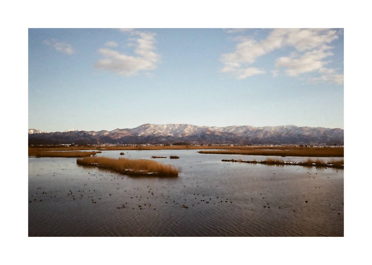 FORPRO_F's tweet image. Nikon L35 AD3
Nikon LENS 35mm f2.8
Kodak GOLD 200