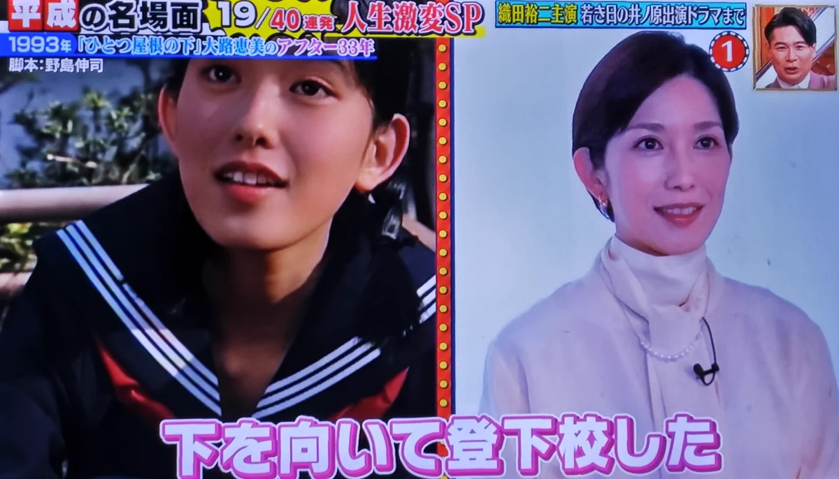活動歴および当時の関連ビジュアル記録