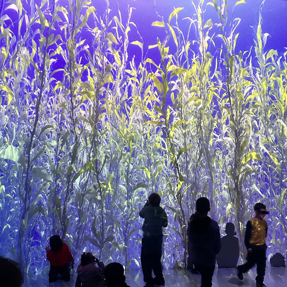 Do you want to step into space, dive into the deep sea, and walk inside iconic artworks? 🚀🌊🎨
 
Deep Space 8K has opened in Pristina, transforming a historic landmark into an immersive world of art, science, and imagination.
 
Discover how 👉 bit.ly/4jW3wsV