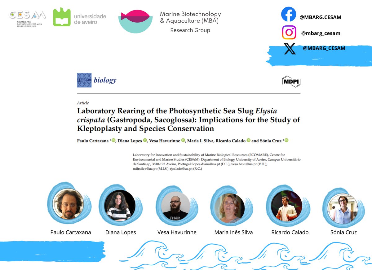 Marine Biotechnology & Aquaculture Research Group tweet media