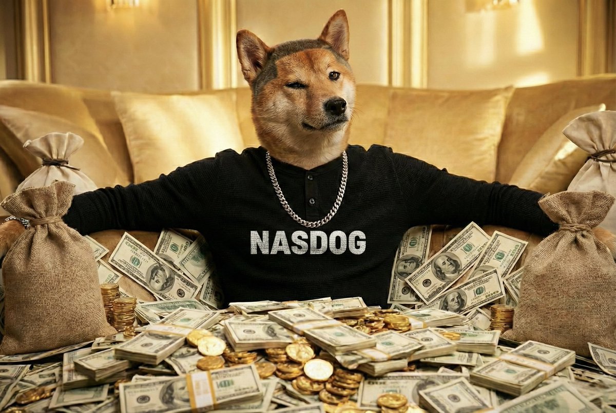 NASDOG123's tweet photo. LFG guys🔥🔥🔥 https://t.co/dq2bzZqUvW