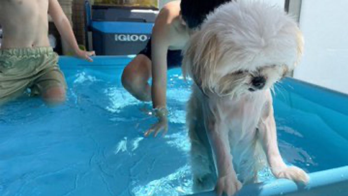 아니ㅋㅋㅋㅋㅋㅋ 왜 이게 생각나지