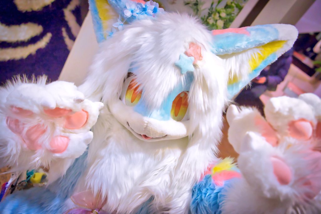 ︎実は星型のヘアクリップを付けてみたんだ。
みんなは気づいたかな。
#FursuitFriday