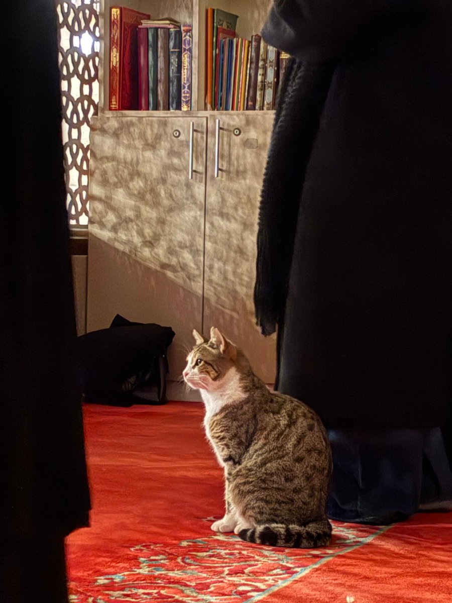 Safları sıklaştıralım :)