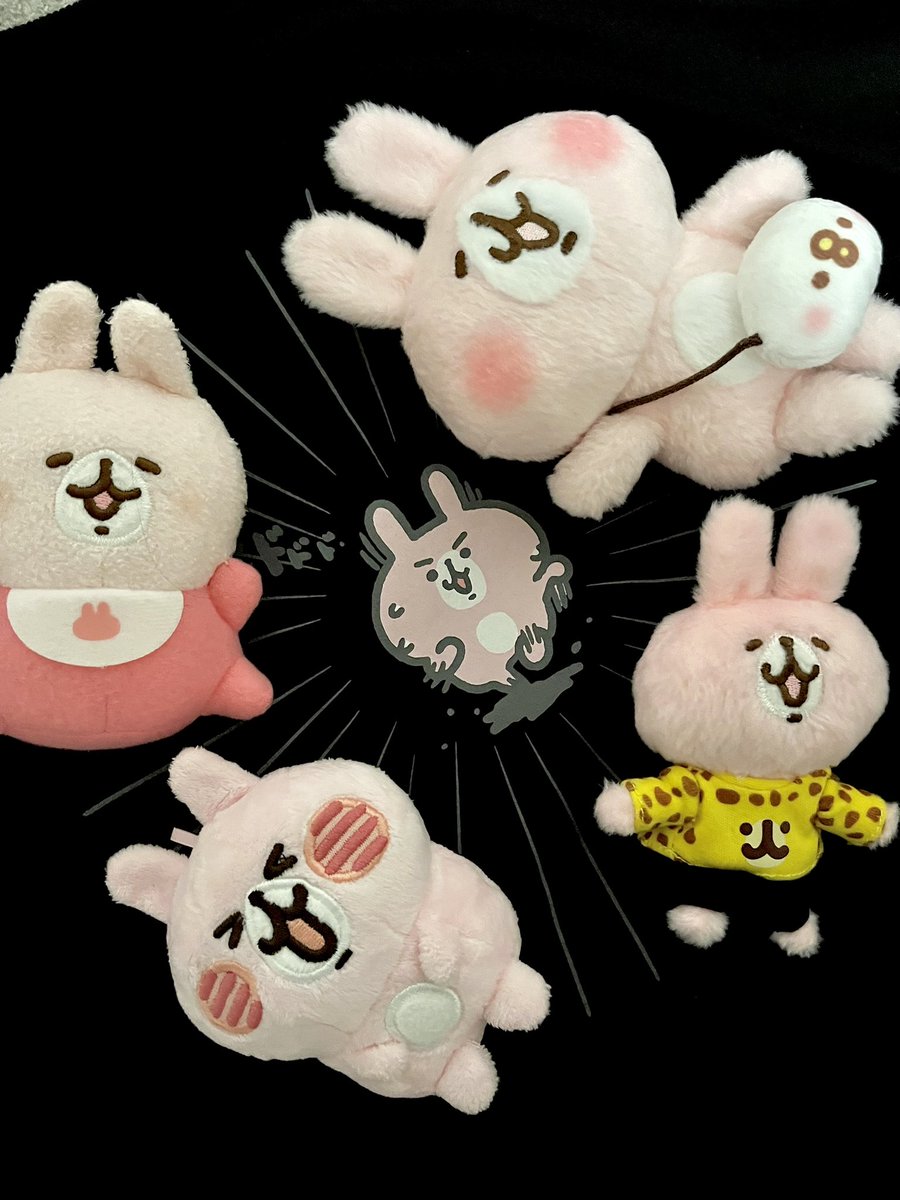 うさぎー！！！
だいすきだ〜！！！！💕💕💕