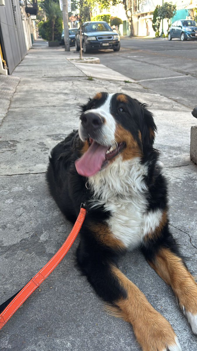 Daniel Velarde tweet media