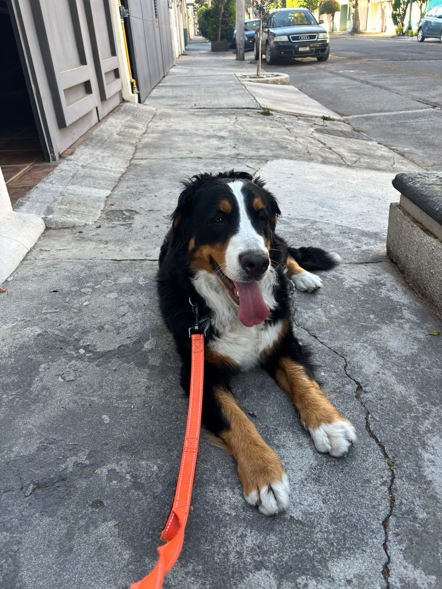 Daniel Velarde tweet media