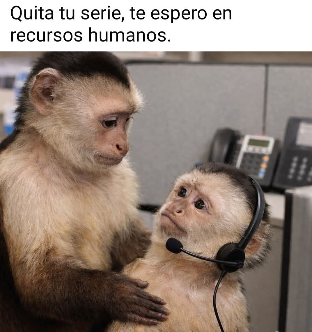 Mr_Flipy's tweet image. Apenas le había encargado a Doña Tere unas papitas 😩