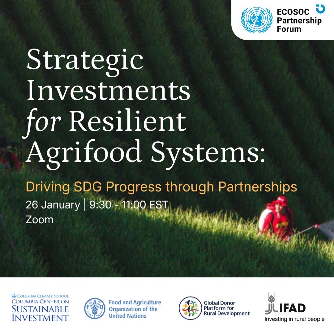 FAO in New York tweet media