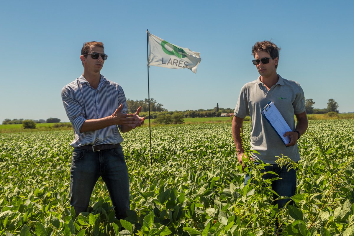 Lares S.R.L. tweet media