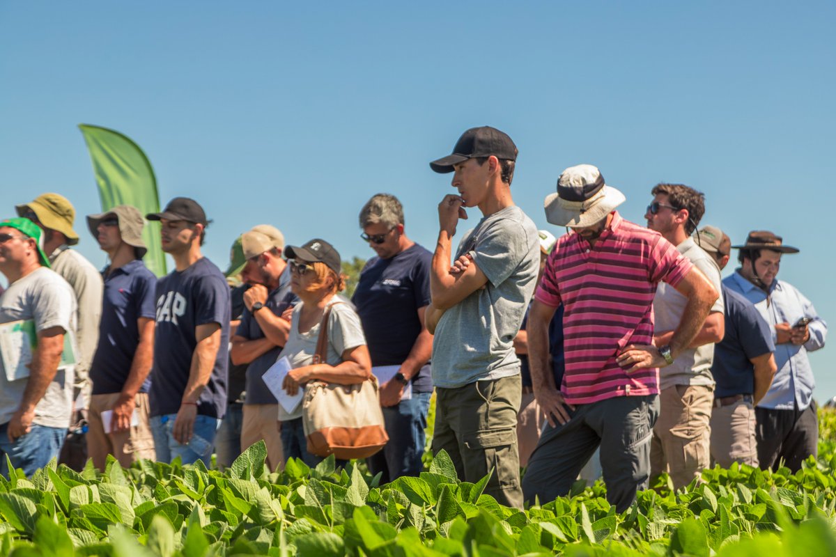 Lares S.R.L. tweet media