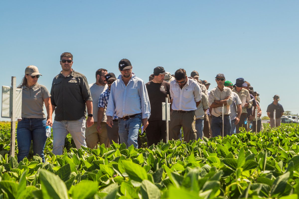 Lares S.R.L. tweet media