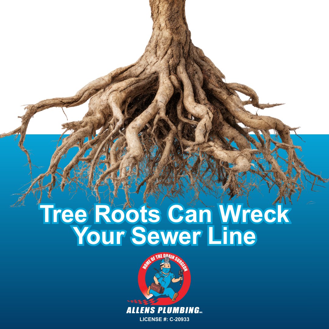 In Hawai‘i’s tropical climate, roots can enter even the smallest cracks and quickly cause serious blockages. Catching the issue early can save you from costly repairs.

#AllensPlumbing #SewerLineCare #HawaiiHomes #PlumbingTips