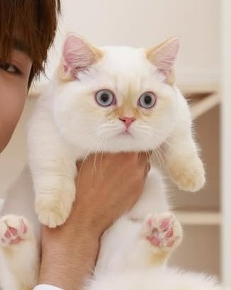 SMC_1104's tweet image. ใครเจ้าของตุวจริงนะ😂 552552525255252552525255252551155151515525252552525252525255252525/2

ตอนน้องฮงจับ                              ตอนนัทจับ