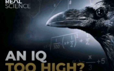 Gao_Individual's tweet image. Can someone pls draw this as Yharon