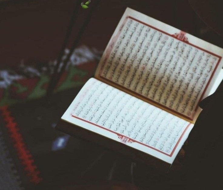 Allah ile baş başa kalın ve O'na tüm kalbinizle yönelin; korku ve umut içinde.

Rabbinizden bağışlanma, tevekkül, sebat ve takva isteyin.

Mümin için en hayırlı azık,takvadır..🌿