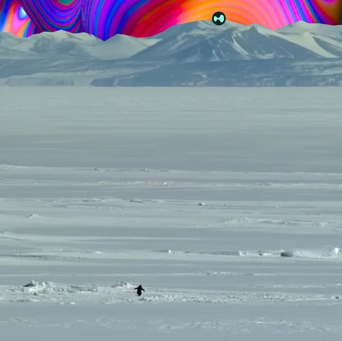 HyperBloom 🌸 tweet media