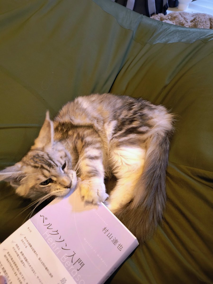 それ、君の名前の由来だぞ