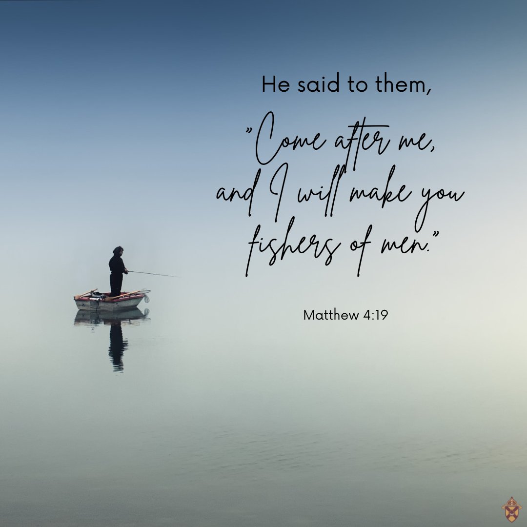 Diocese of Rochester tweet media