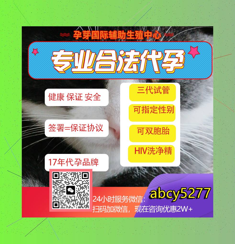 robert408794486's tweet photo. 🐄 👰
泰国代孕 代孕 https://t.co/qPK2tK47Wj