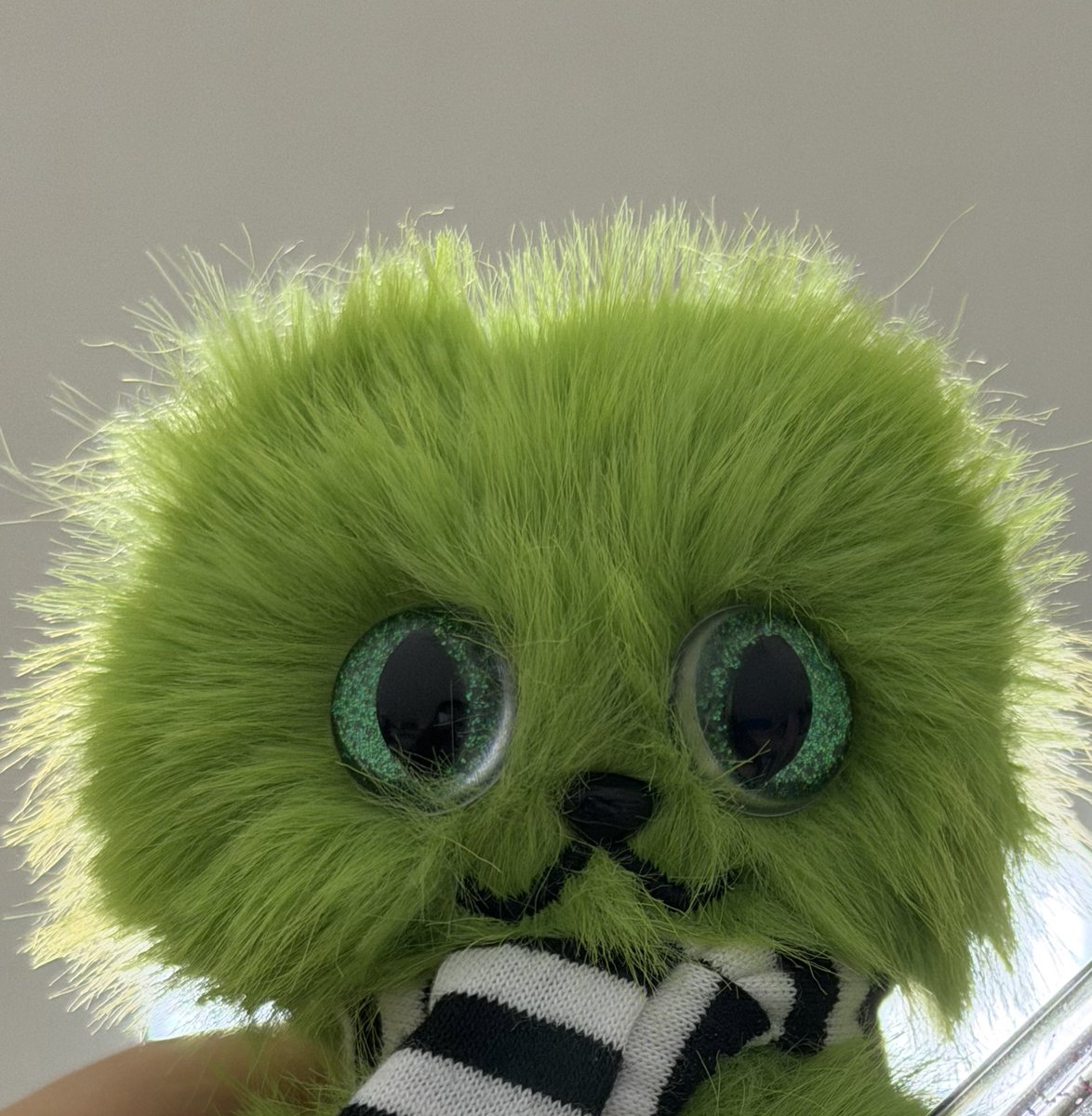 찾았다 내 고양이