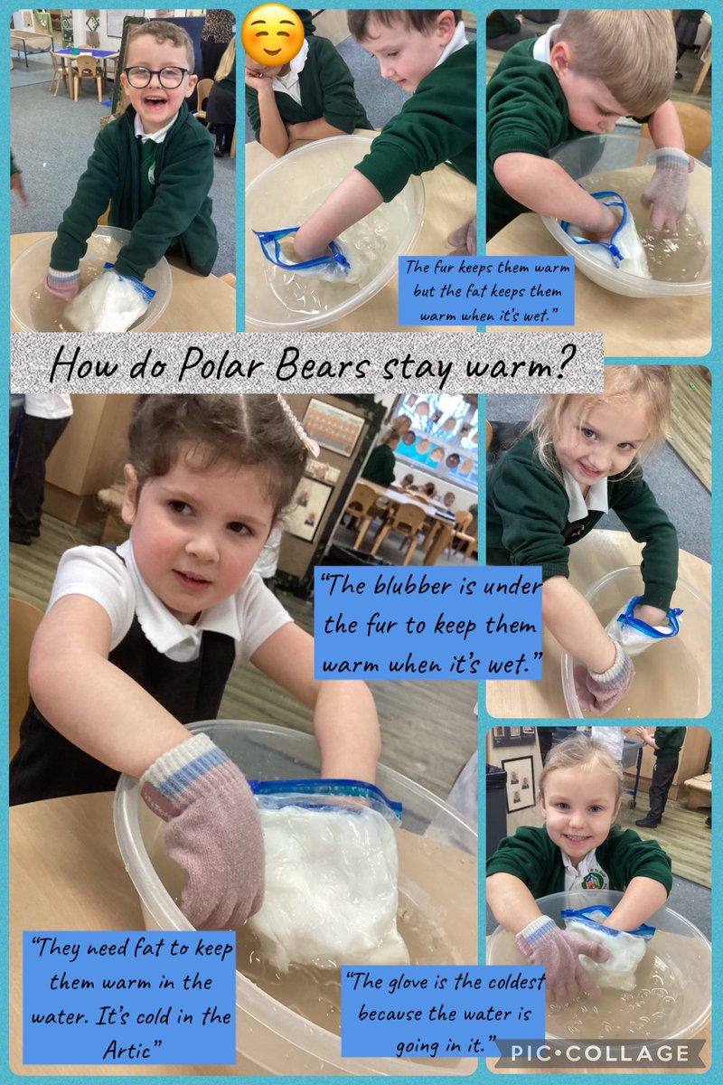 misssburns's tweet photo. Reception have been learning all about polar bears ❄️🐻❄️ We explored where they live, polar bear facts, and if a polar bear and penguin could be friends! We investigated blubber and created beautiful artwork 🎨
@StJosephStBede @STOC_CAT #UtW #EAD #sjsbgeography #sjsbscience https://t.co/dqbTvnusU3