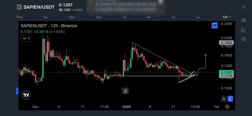 Crypto Vampire tweet media