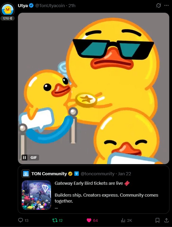 Froggy 🐸 tweet media