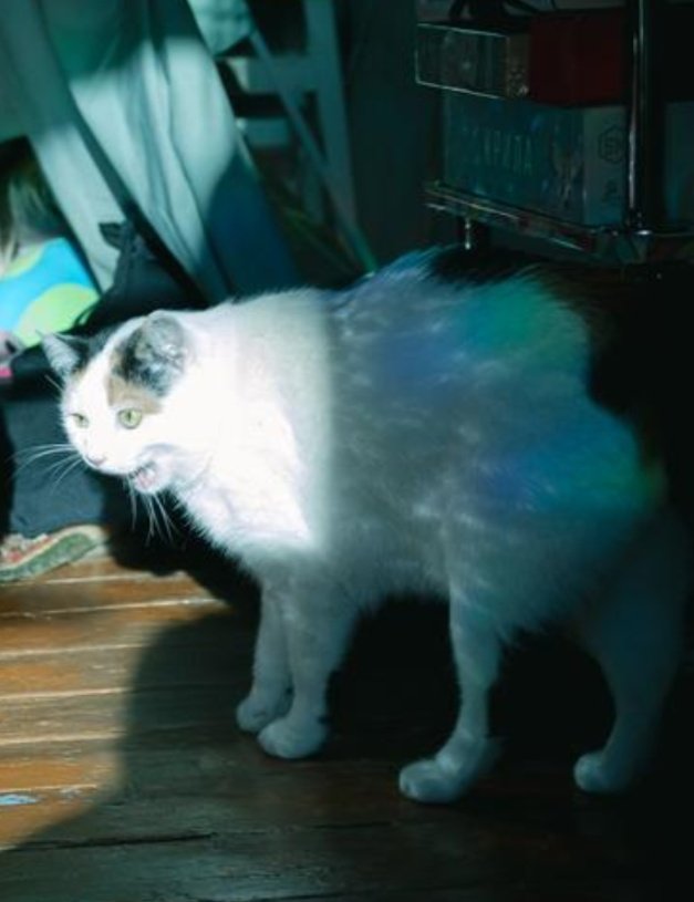 pidorwave's tweet image. мемний потенціал Дзвіночки зростає