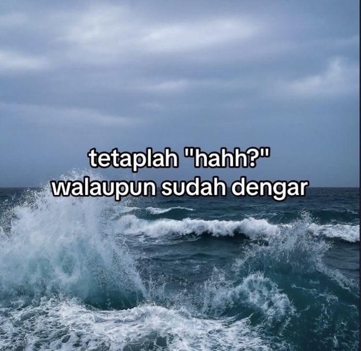 bu-na 姊姊 🌸 tweet media