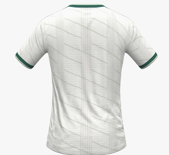 Northern Ireland shirt collector tweet media