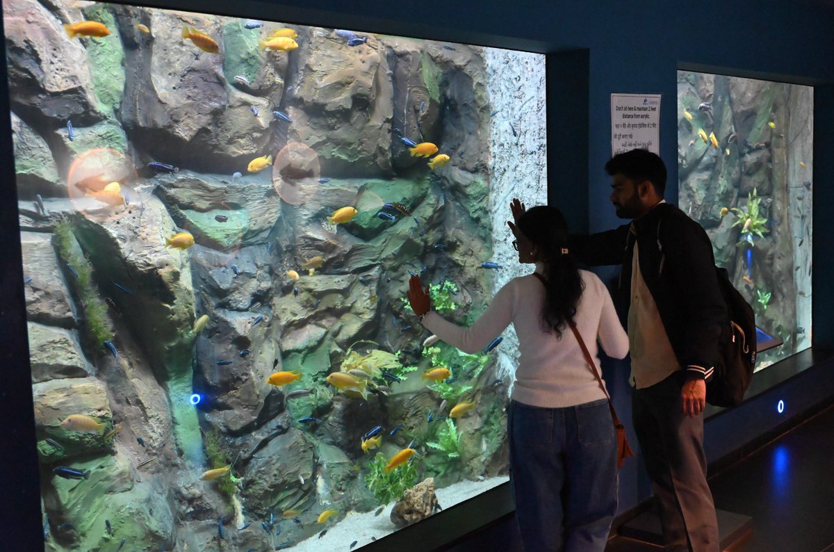 GujScienceCity's tweet image. સાયન્સ સિટીની એક્વેટિક ગેલેરી મુલાકાતીઓ માટે રોમાંચક અને શૈક્ષણિક અનુભવ પ્રદાન કરે છે—જ્યાં જળજીવનની રંગબેરંગી દુનિયાને નજીકથી જોવાની અદભૂત તક મળે છે. પરિવાર સાથે આવો અને વિજ્ઞાનને જીવંત રૂપે અનુભવો! #ChaloScienceCity #Aquatic #FamilyDestination #ScienceWithFun #ExploreScience