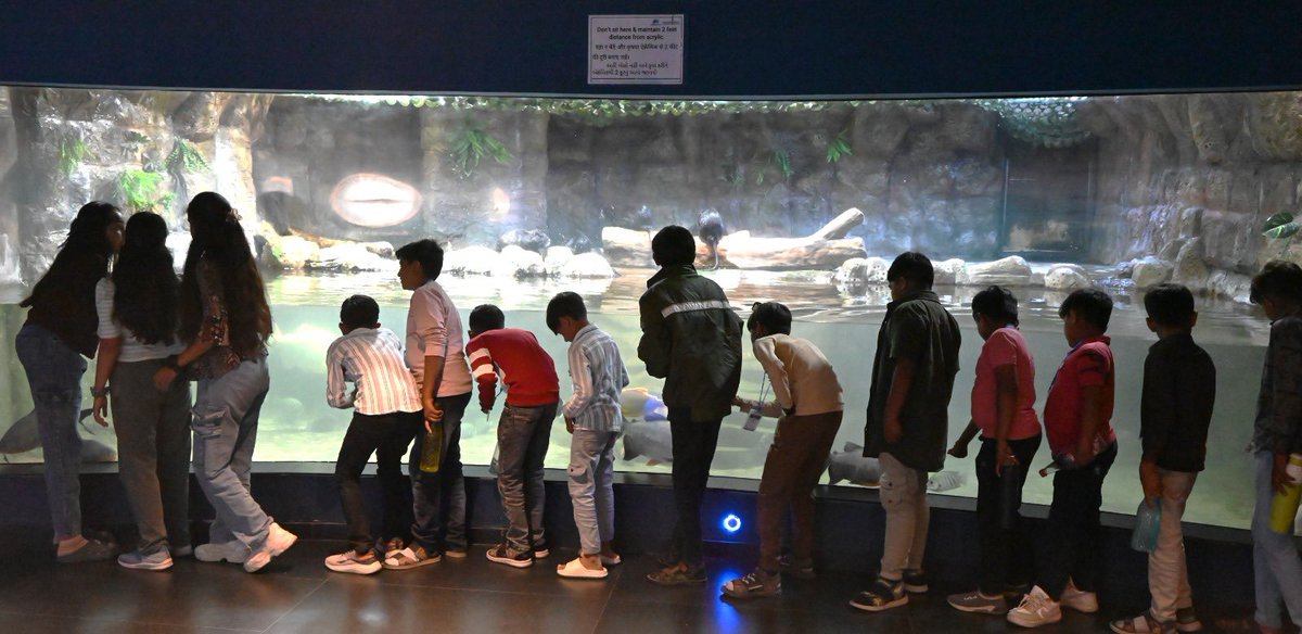GujScienceCity's tweet image. સાયન્સ સિટીની એક્વેટિક ગેલેરી મુલાકાતીઓ માટે રોમાંચક અને શૈક્ષણિક અનુભવ પ્રદાન કરે છે—જ્યાં જળજીવનની રંગબેરંગી દુનિયાને નજીકથી જોવાની અદભૂત તક મળે છે. પરિવાર સાથે આવો અને વિજ્ઞાનને જીવંત રૂપે અનુભવો! #ChaloScienceCity #Aquatic #FamilyDestination #ScienceWithFun #ExploreScience