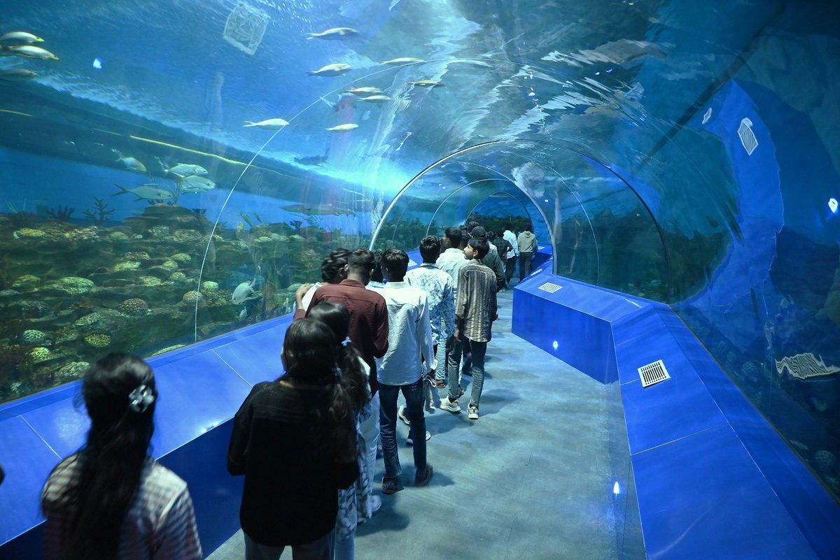 GujScienceCity's tweet image. સાયન્સ સિટીની એક્વેટિક ગેલેરી મુલાકાતીઓ માટે રોમાંચક અને શૈક્ષણિક અનુભવ પ્રદાન કરે છે—જ્યાં જળજીવનની રંગબેરંગી દુનિયાને નજીકથી જોવાની અદભૂત તક મળે છે. પરિવાર સાથે આવો અને વિજ્ઞાનને જીવંત રૂપે અનુભવો! #ChaloScienceCity #Aquatic #FamilyDestination #ScienceWithFun #ExploreScience
