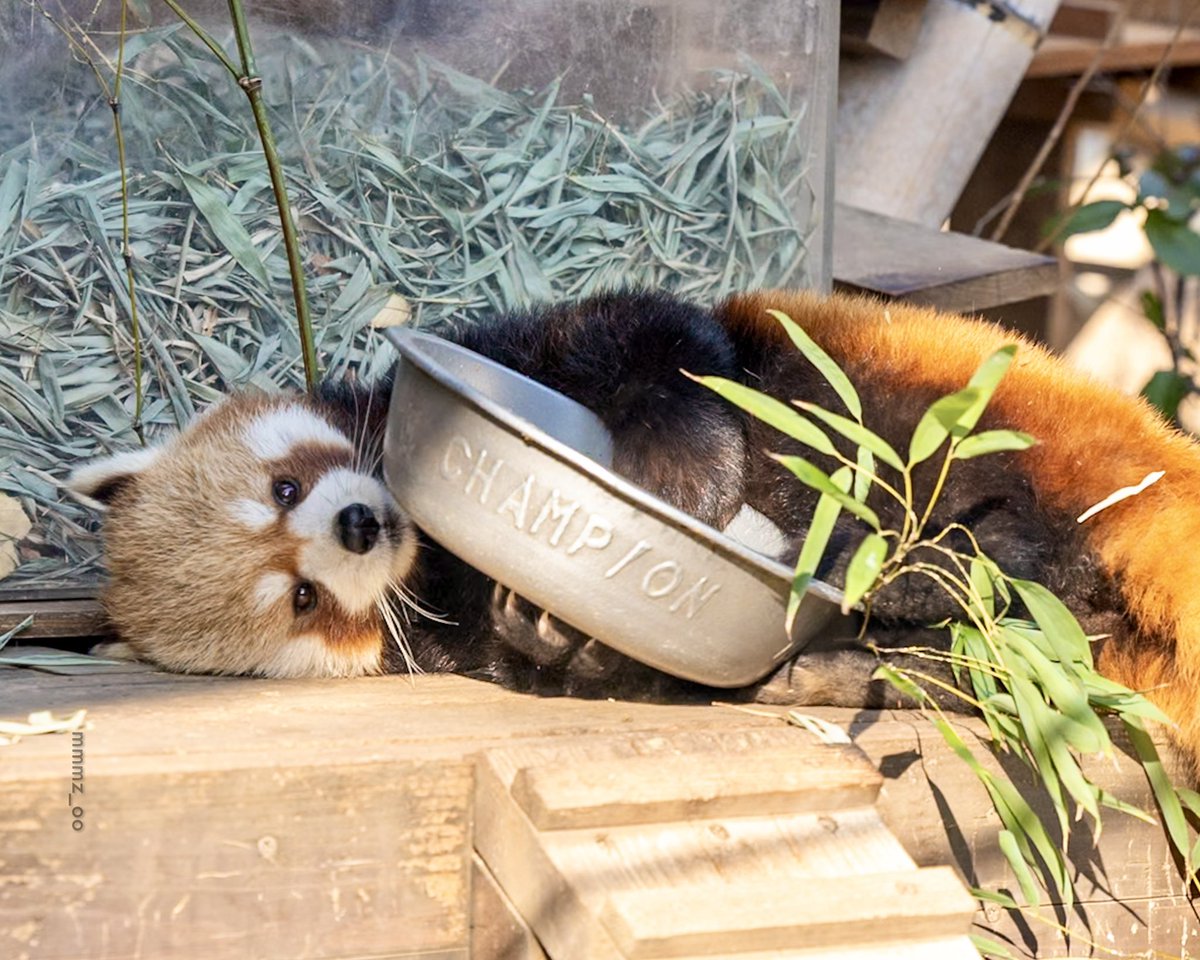 mmm（むむ） (@mmmz_oo) / Posts / X