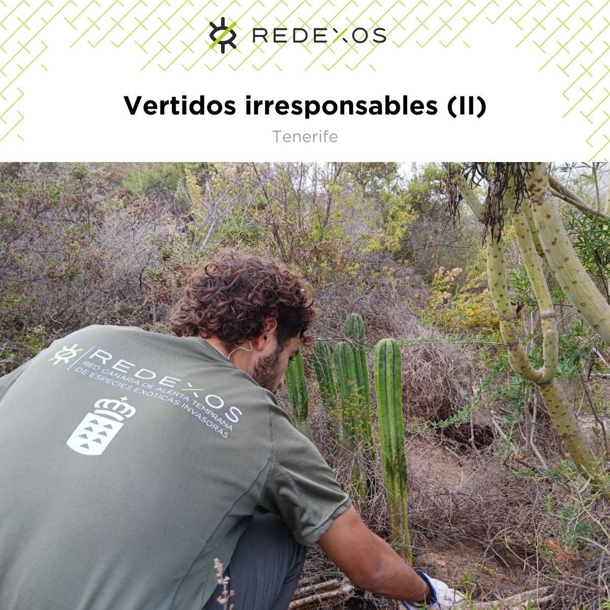 RedEXOS_Gobcan tweet media