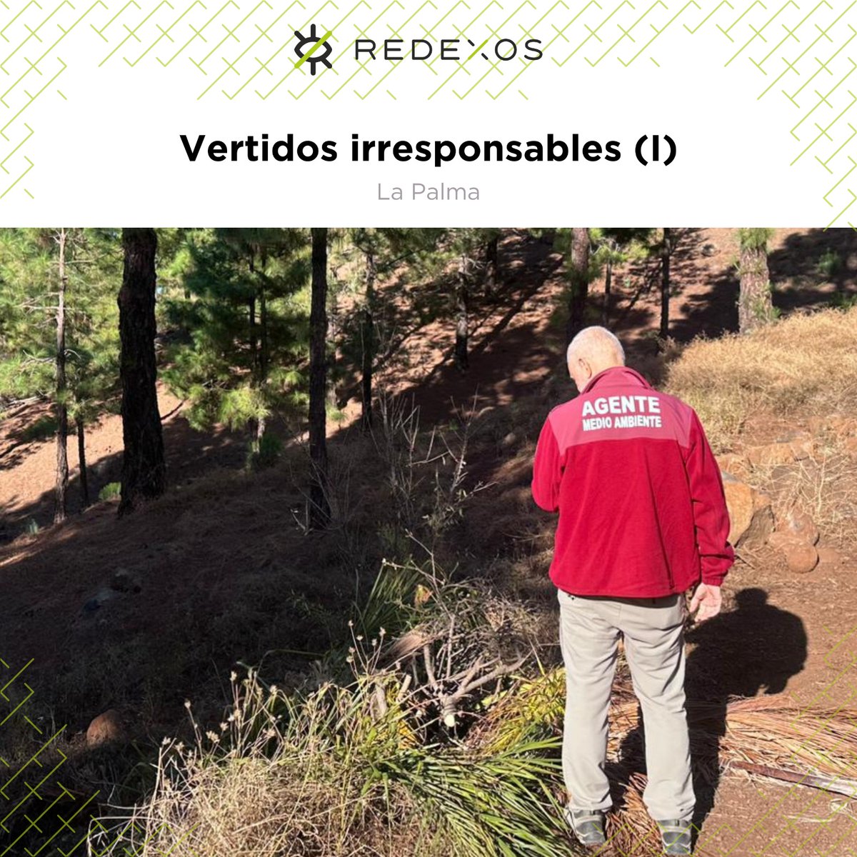 RedEXOS_Gobcan tweet media