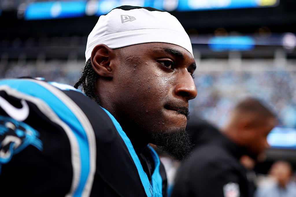 Cat Crave tweet media