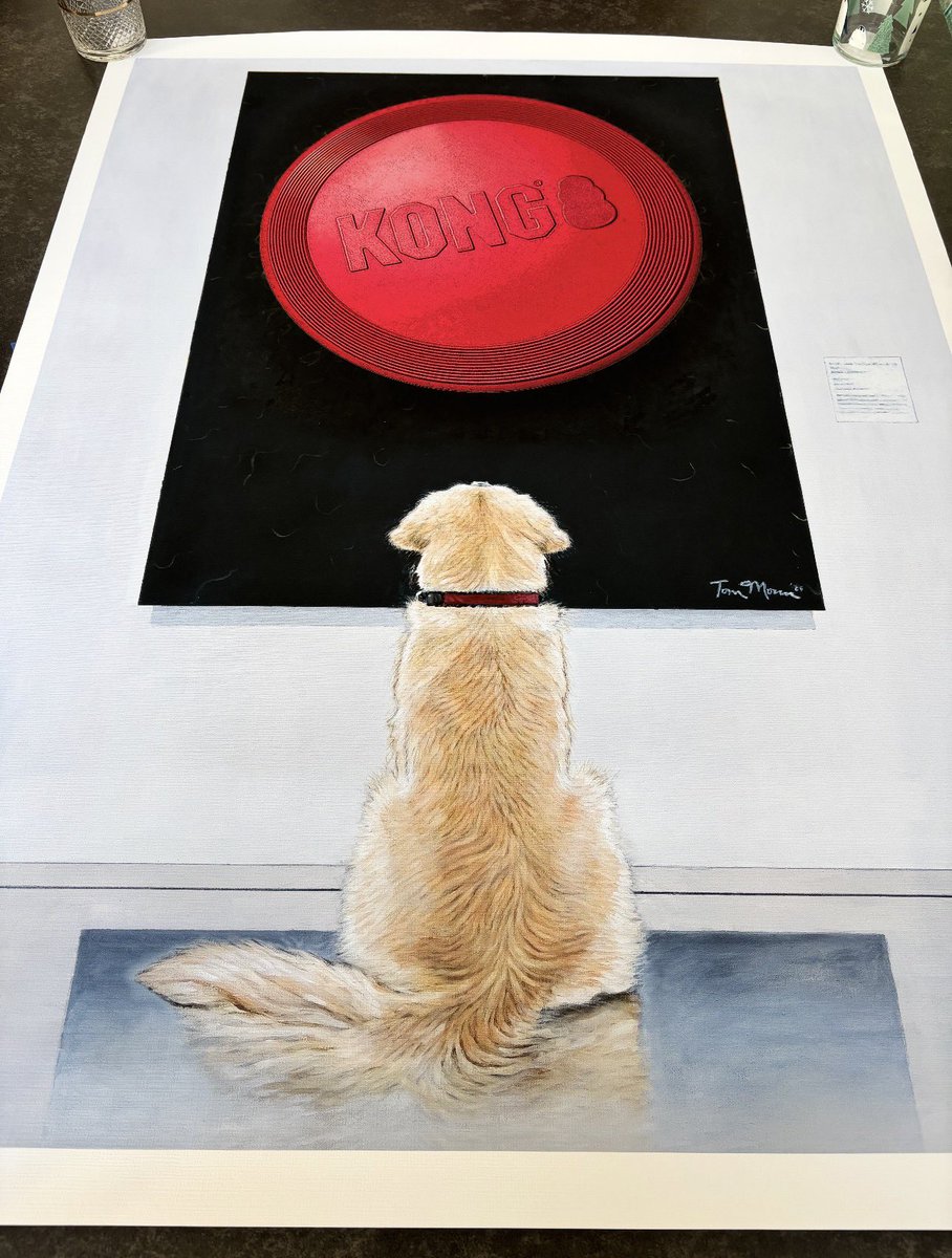 mikeynayler's tweet photo. @dannykellywords you are so right about cats and dogs, i got my wife a 4 foot by 3 foot picture  made of our dog at a museum staring at her favourite toy a frisbee, have no idea where we will put it though! I’m a 53 year old carpenter who should know better https://t.co/nMby0YKHrE