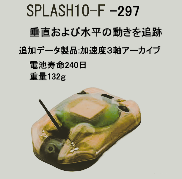 LNwpkgk5lvQbDR7's tweet photo. 電子タグのうちイルカの水平移動追跡のSPOT型を説明してきましたが、もしかすれば一つだけ形状からみて垂直移動も感知できる加速度３軸アーカイブ仕様のSPLASF10-F型が装着されてるかも知れません🐬

タグ作動直後の赤色LEDインジケータ点滅が特徴的なこの機種は数分毎に衛星から位置情報を取得可能🐬 https://t.co/Z9mb8prNgz
