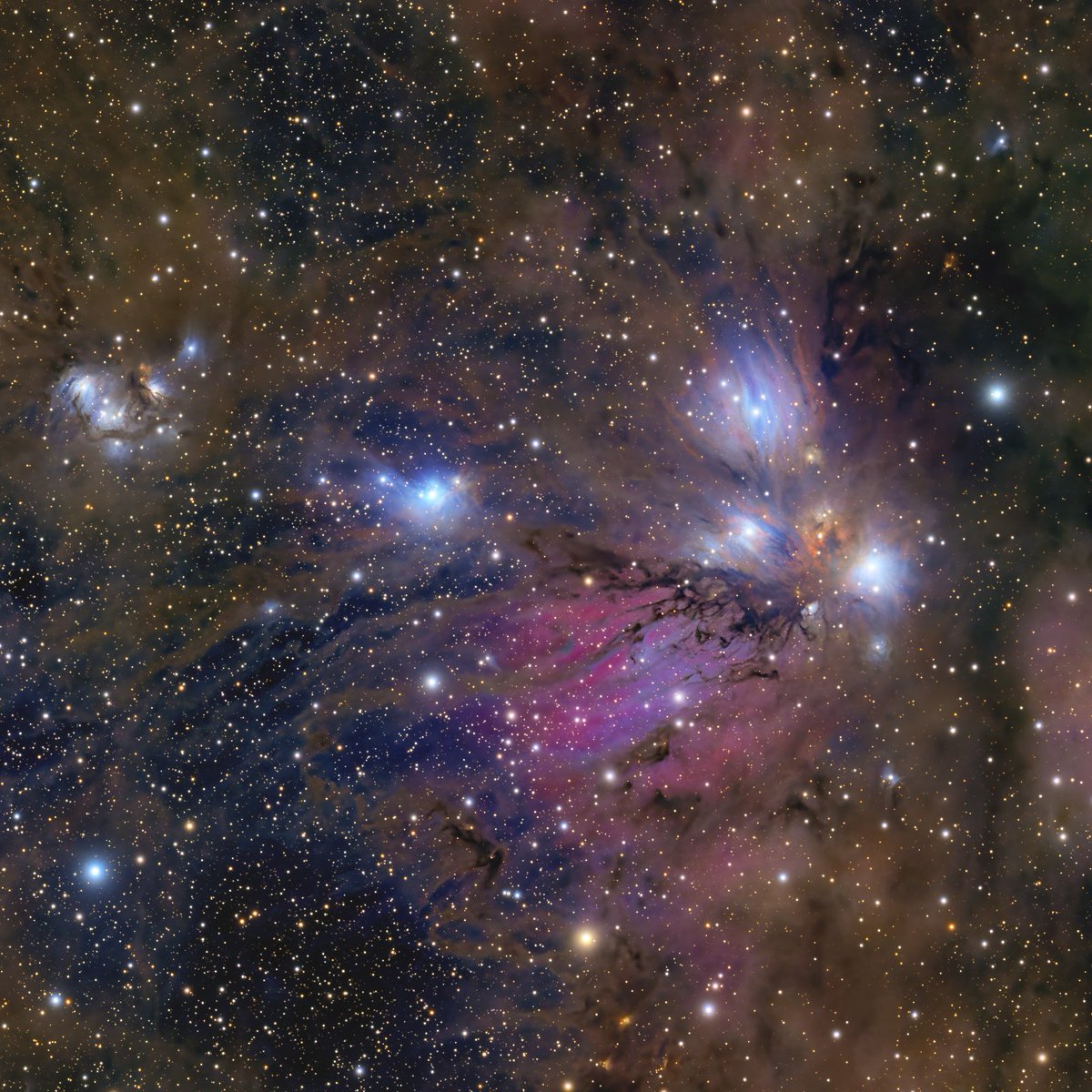 ある方にインスパイアされて撮影した、隠れた実力者。あげは蝶星雲です。

フラット起因の縮緬ノイズが大規模に発生したので、潔くフラット無しです。妖精さんフラット撮影苦手なんだよな…

その他諸々の不具合があり、思い切りトリミングしてます。

本来なら長焦点で撮影するべきなんでしょうが…