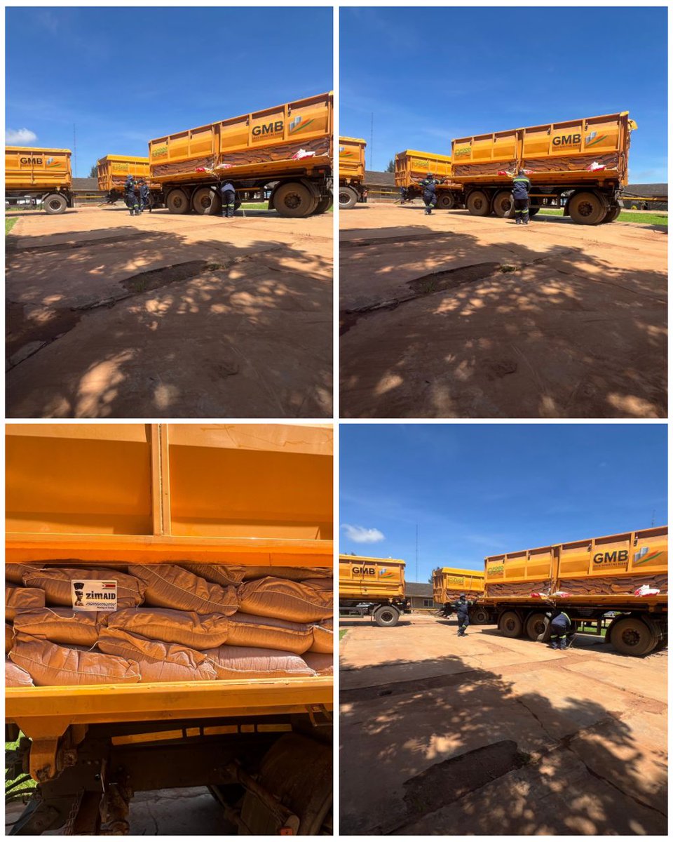 Oppah Muchinguri-Kashiri (ZANUPF Nat. Chairman) tweet media