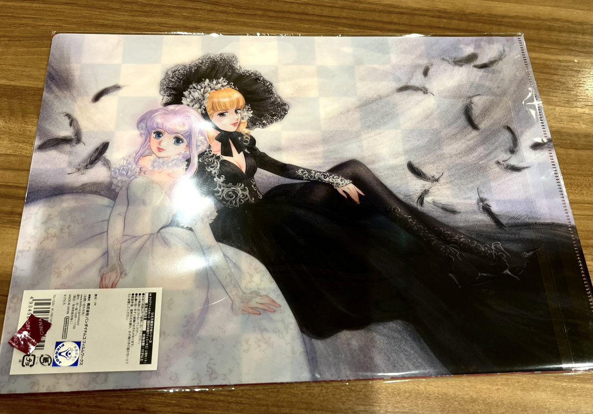 クリアファイル裏面 すごいねー。これ。美しすぎる✨