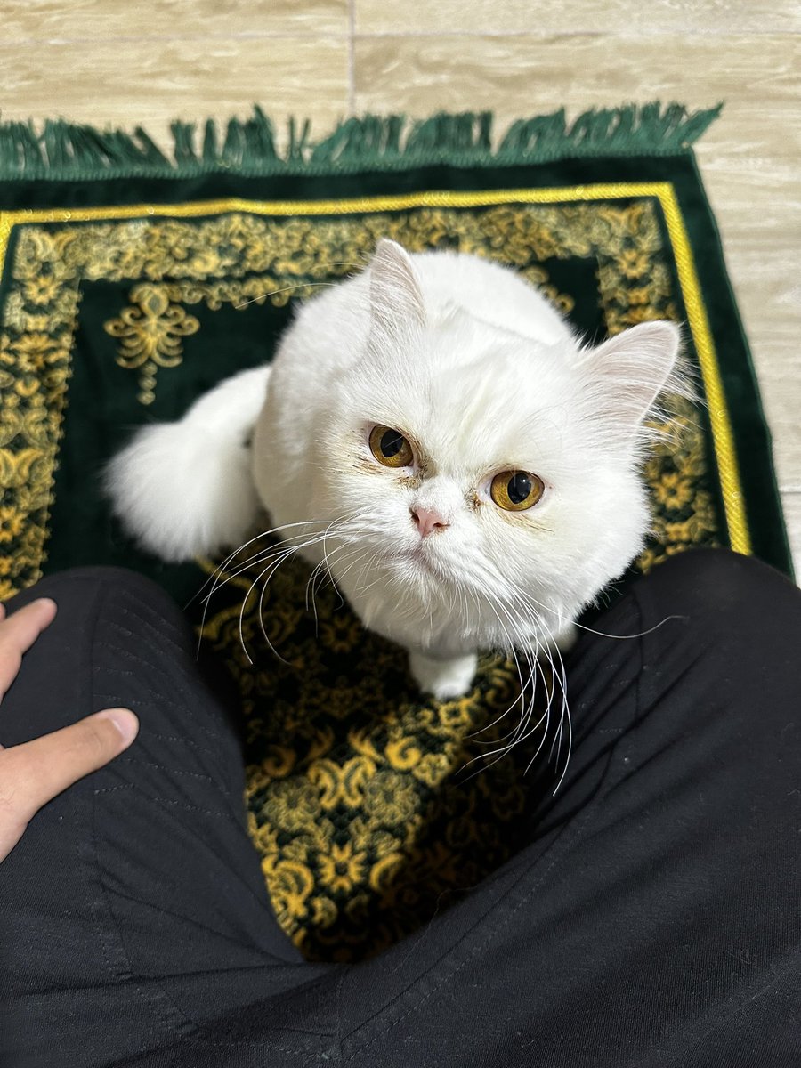 المخلوق الوحيد اللى على طول فاكرك و مستنيك ♥️🫂