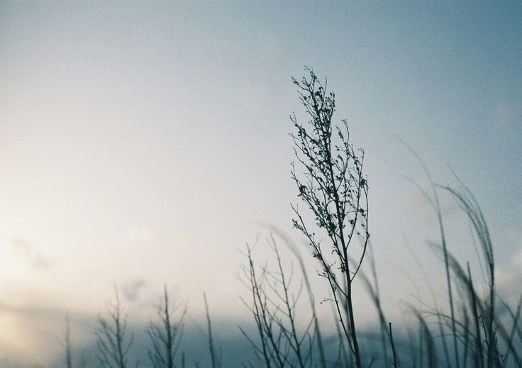 rmm12311's tweet image. -

اللهم أذقنا لذة الإجابة بعد الإلحاح ، وراحة اليقين بعد كل دعوة   ..  

.
.

#يوم_Iلجمعه 
#ساعه_استجابه