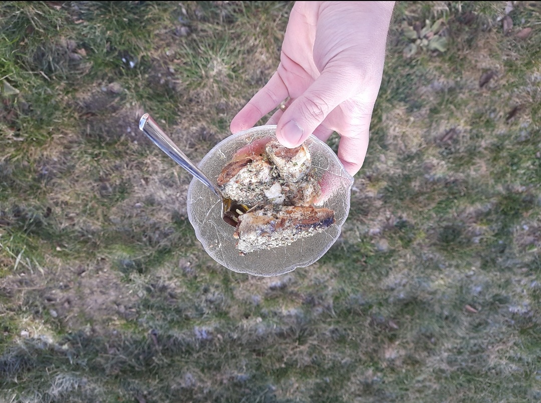 David Krieger tweet media