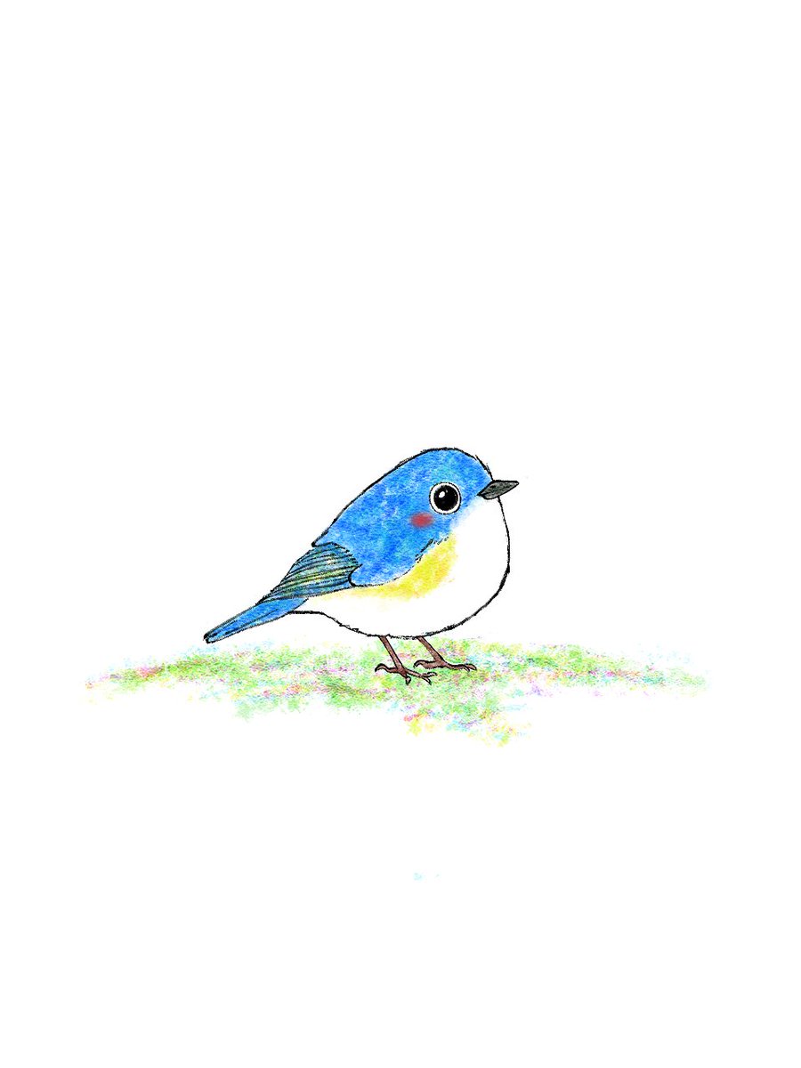 「きょうもお疲れ様でした。」😄

昨日初めてルリビタキを見ました。
とても小さく、かわいくて、その瑠璃色に引き込まれました。さっそく描きはじめたのですが、その瑠璃色がなかなかできずに困りました。色を探し求めるのも絵描きの楽しみのひとつですね。
#水彩画　#動物